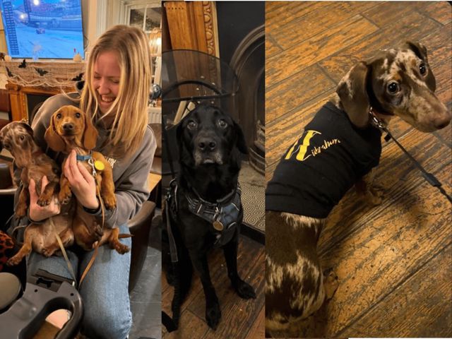 Dog friendly